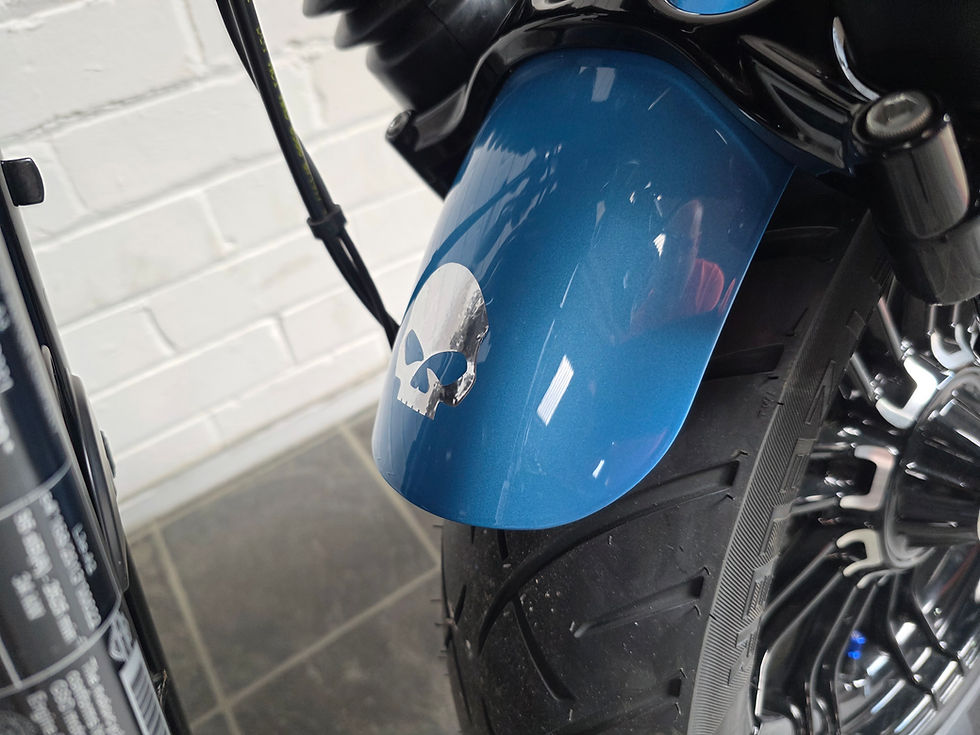 Thumbnail: Harley Davidson XL1200 48 Sportster Custom