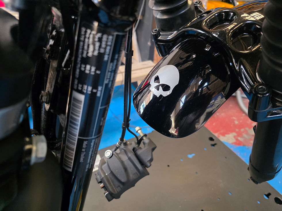 Thumbnail: Harley Davidson XL1200 48 Sportster Custom