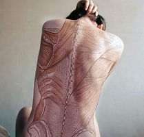 Topograafilise anatoomia seminar massööridele – praktiline õppimine anatoomiliste struktuuride palpeerimiseks, luu- ja lihasorientiiride tundmine ja kasutamine igapäevases töös.