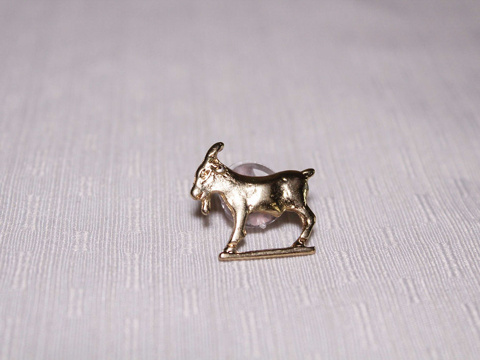 Miniatura: Pins
