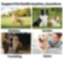 Thumbnail: Pet Teeth Cleaning Finger Wipes
