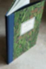 The Fall of the House of Usher from Nepenthe Press