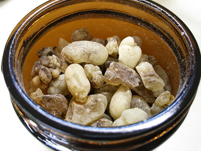 Frankincense Oil The King Of Oils