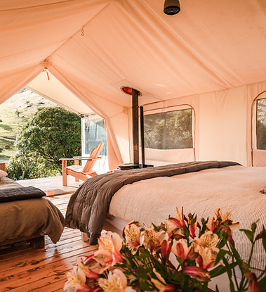 Lavericks Bay camp-14.jpg