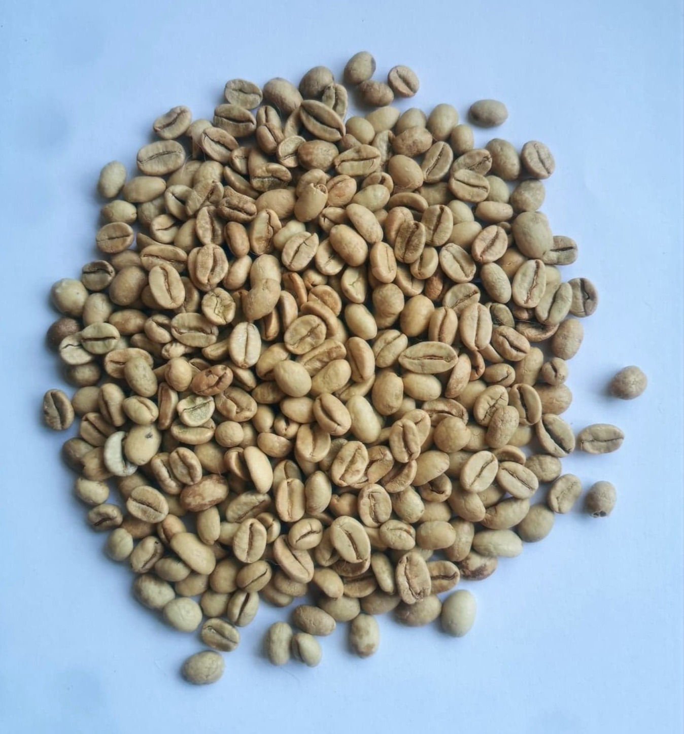 Raw Green India Monsoon Malabar