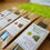 Thumbnail: Infusion Box - Loose Leaf Tea Selection