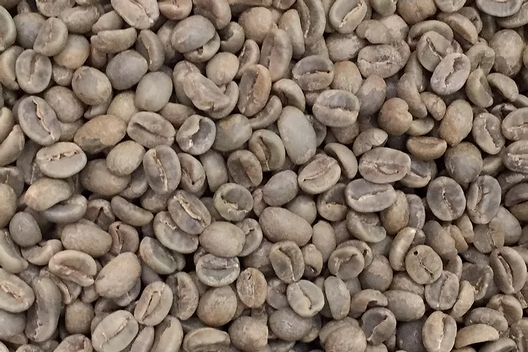 Thumbnail: El Salvador - Santa Leticia - Red Bourbon