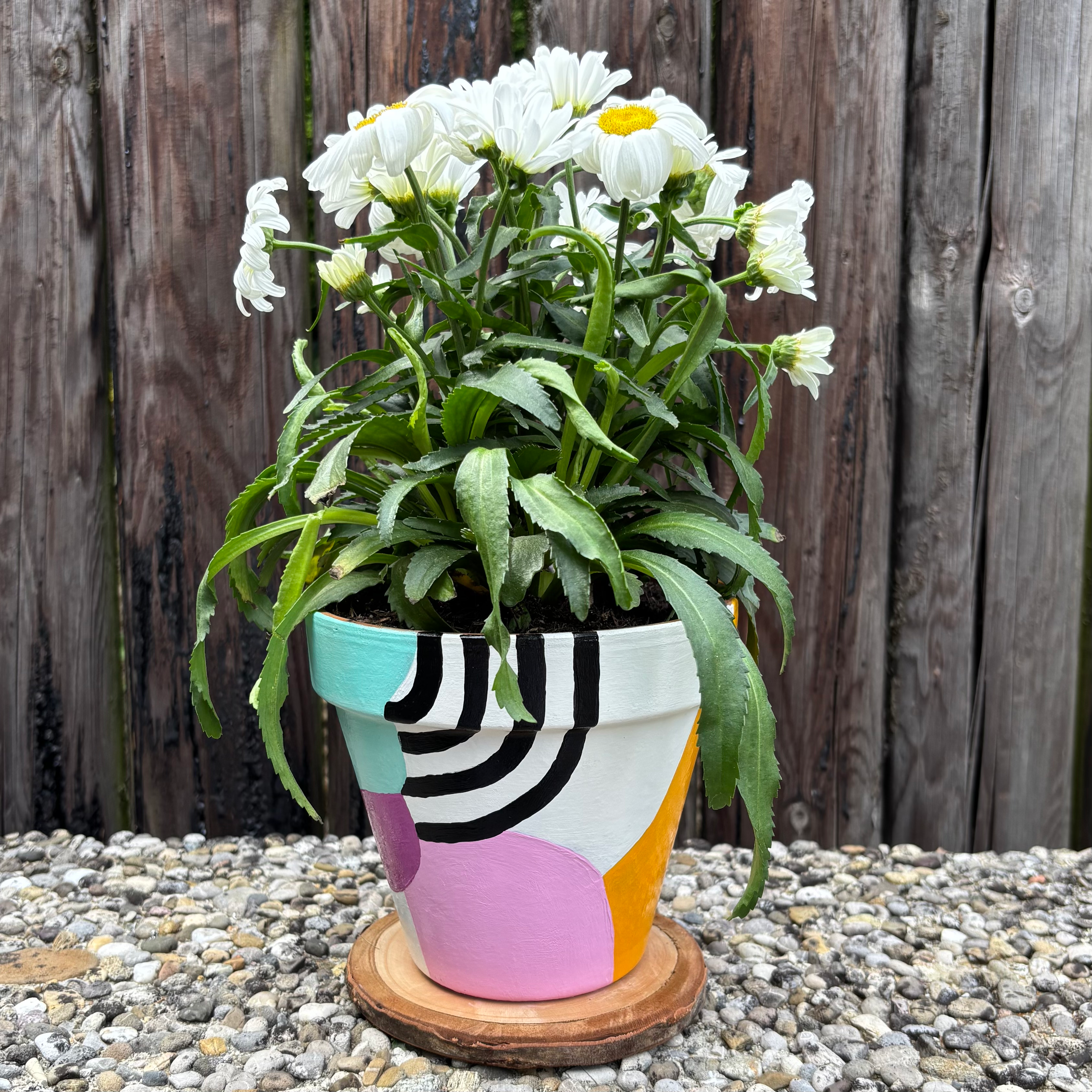 Blumentopf «Margerita»