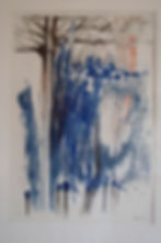 terres bleues