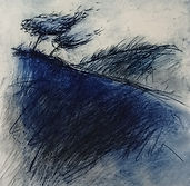 arbre d'écume