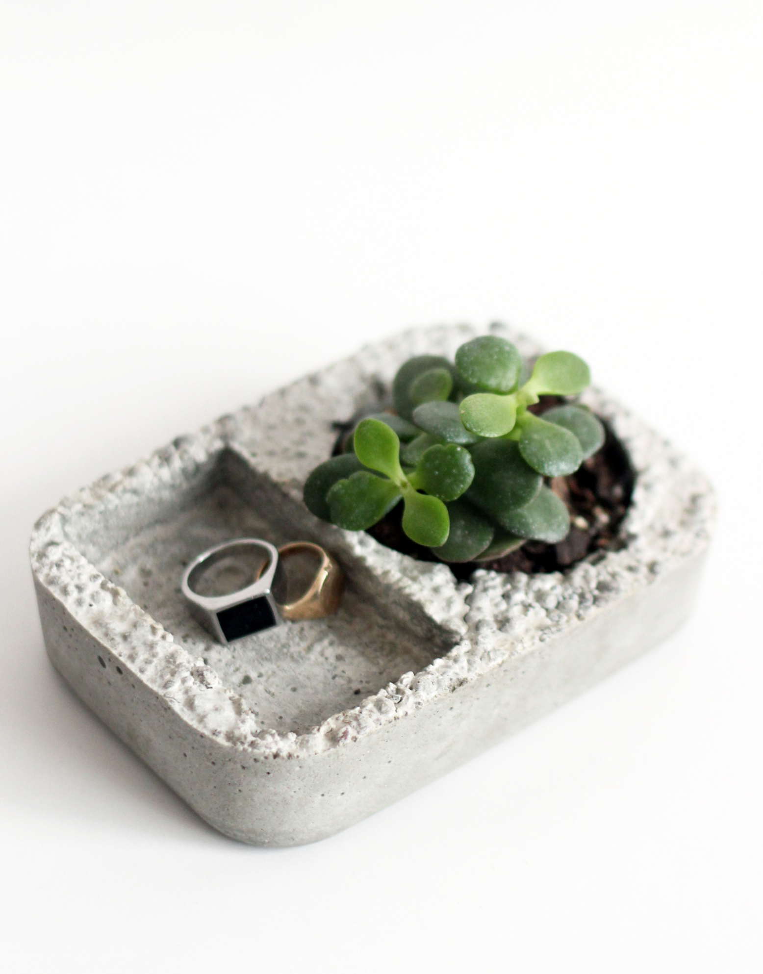 [003] Tray Planter