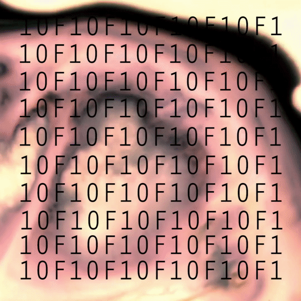 ezgif.com-video-to-gif (16).gif