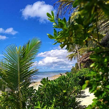 Bohol's view