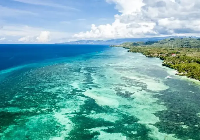 Vue aerienne du recif d'Anda Bohol Philippines.webp