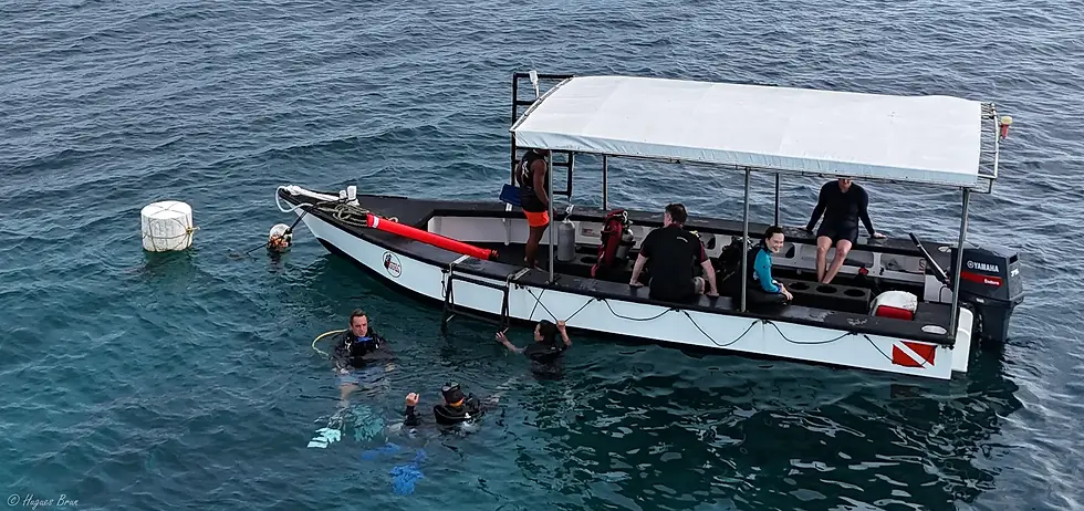Anda Scuba Diving boat on Anda's reef