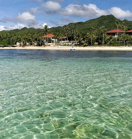 Vue depuis de bateau.webp