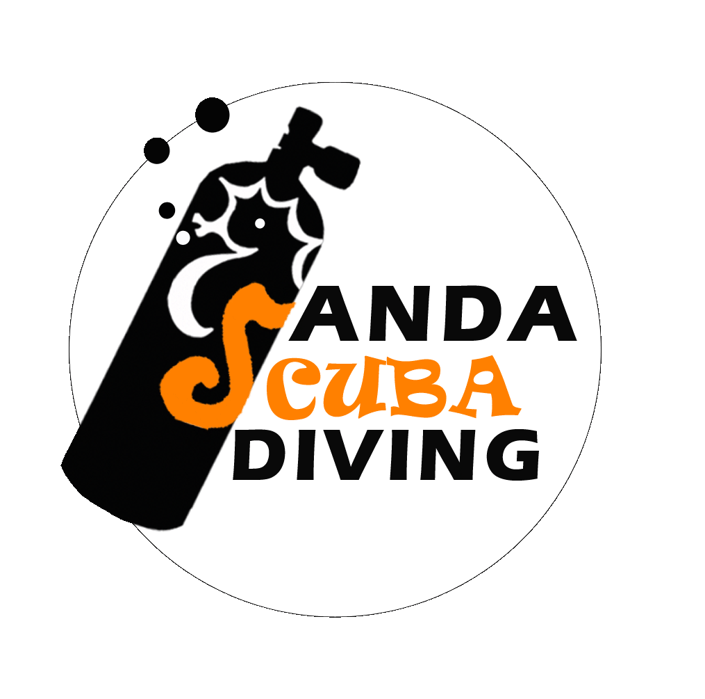 Anda Scuba Diving logo