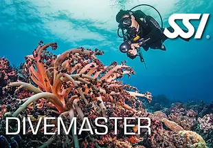Divemaster.webp