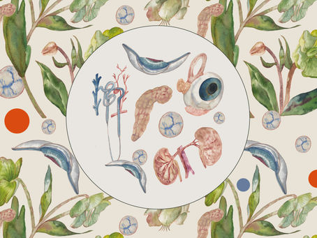 【Solo Exhibition】Face to Face at タバネル book store