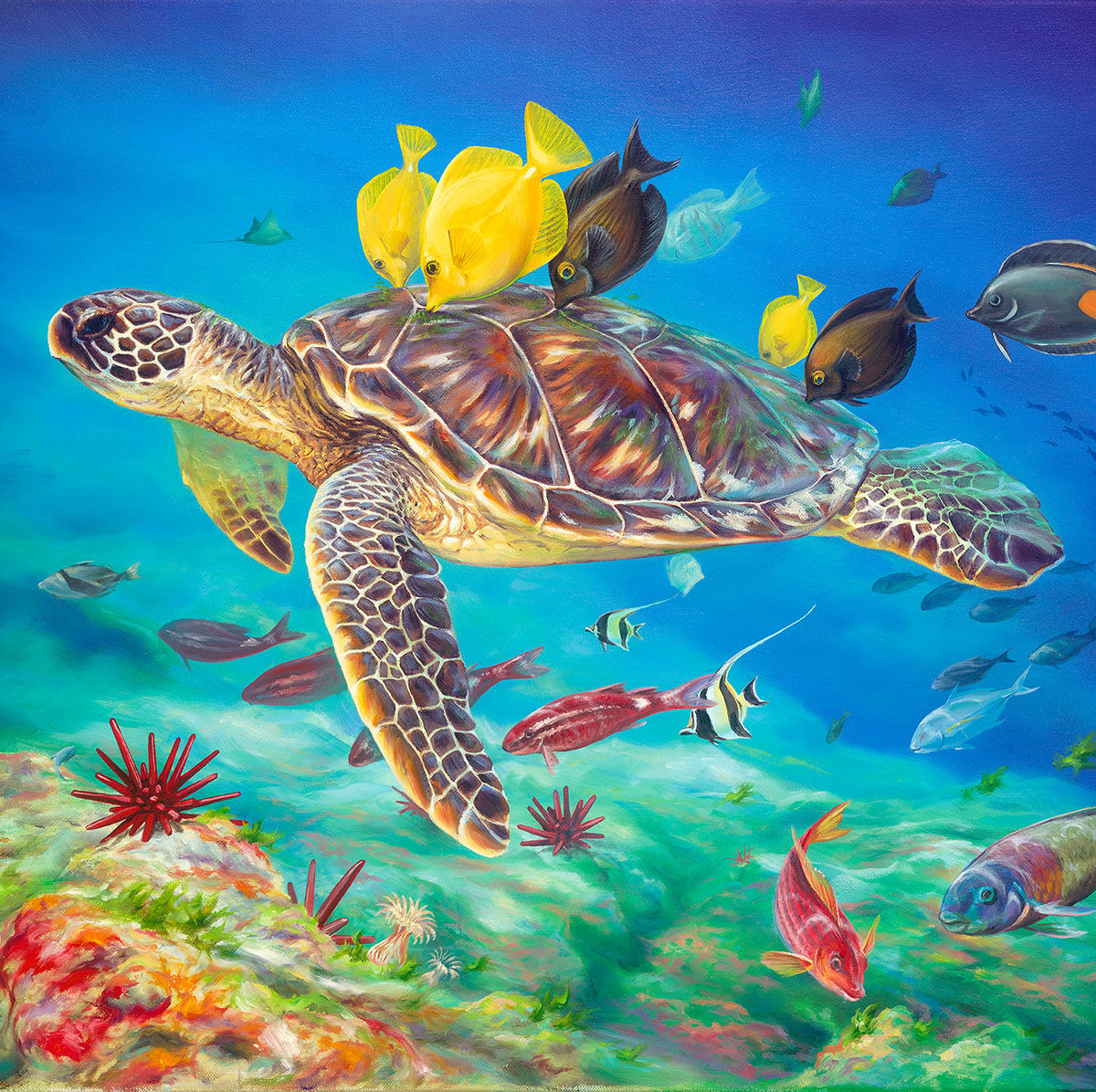 NEW! 9 Lesson Essential Skills Online Course