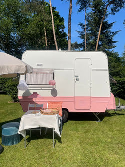 Pink Lady