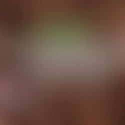 Festival de café, cacao y chocolate mexicano