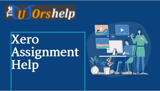 Xero Assignment Help