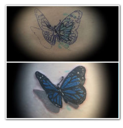 butterfly cover up
