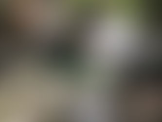 Et si le pas qui nous séparait de l’autre était le pas qui nous séparait de nous même ?