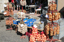 ail_blanc_marché_Saint-Clar-4