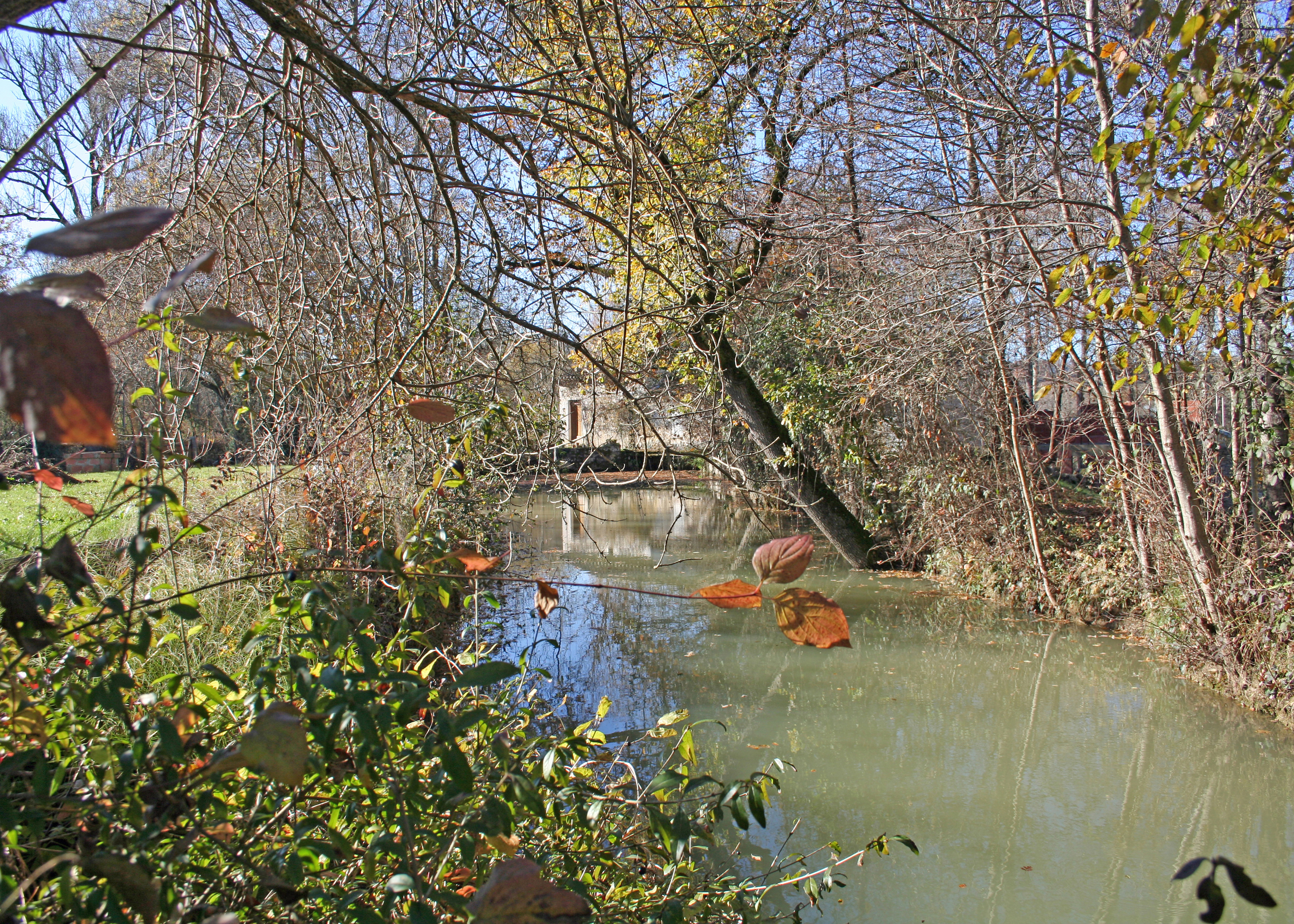 © Gilles Nicoud-Parimoine StCréac-IMG_03