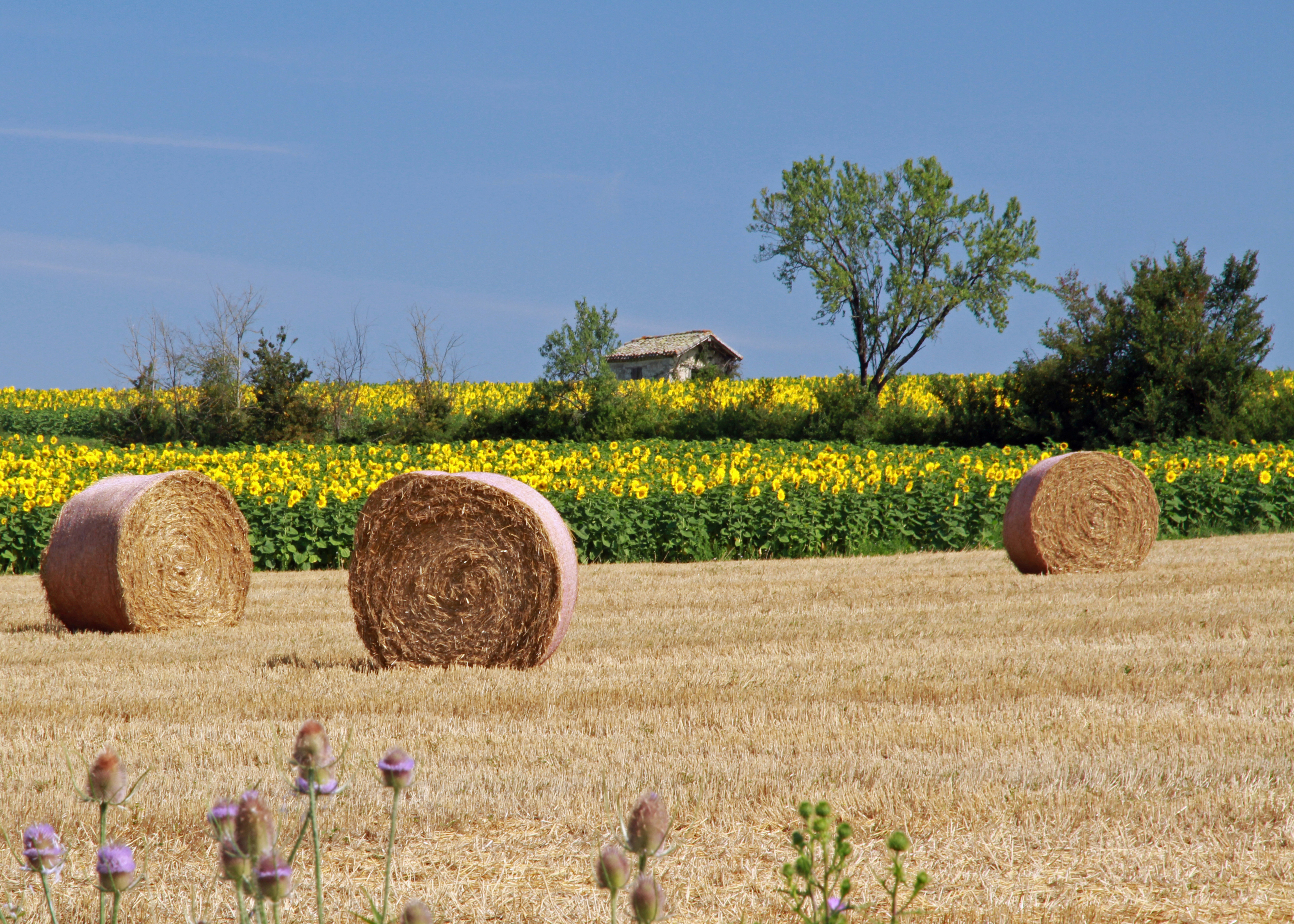 © Gilles Nicoud-Parimoine StCréac-IMG_30