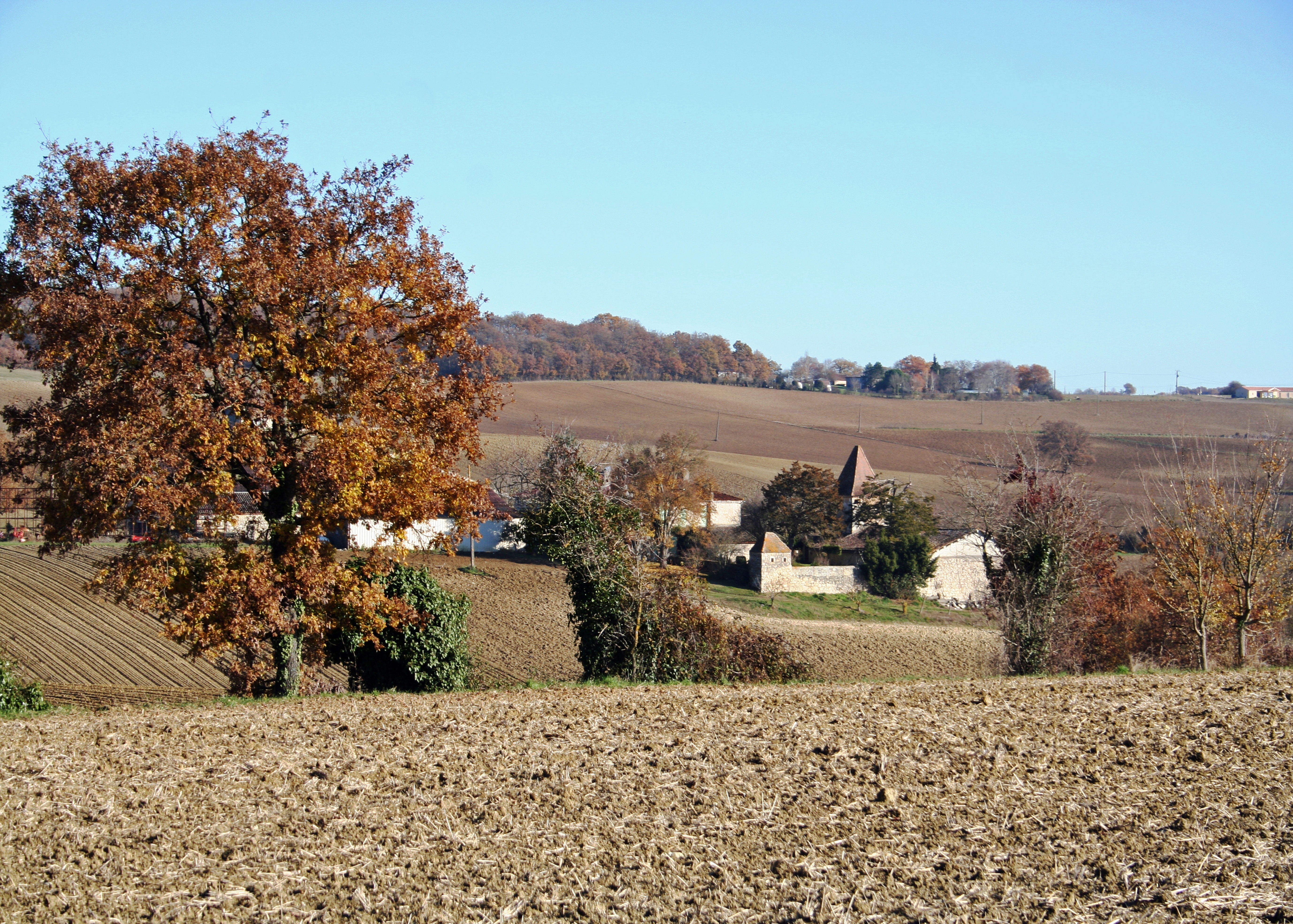 © Gilles Nicoud-Parimoine StCréac-IMG_02