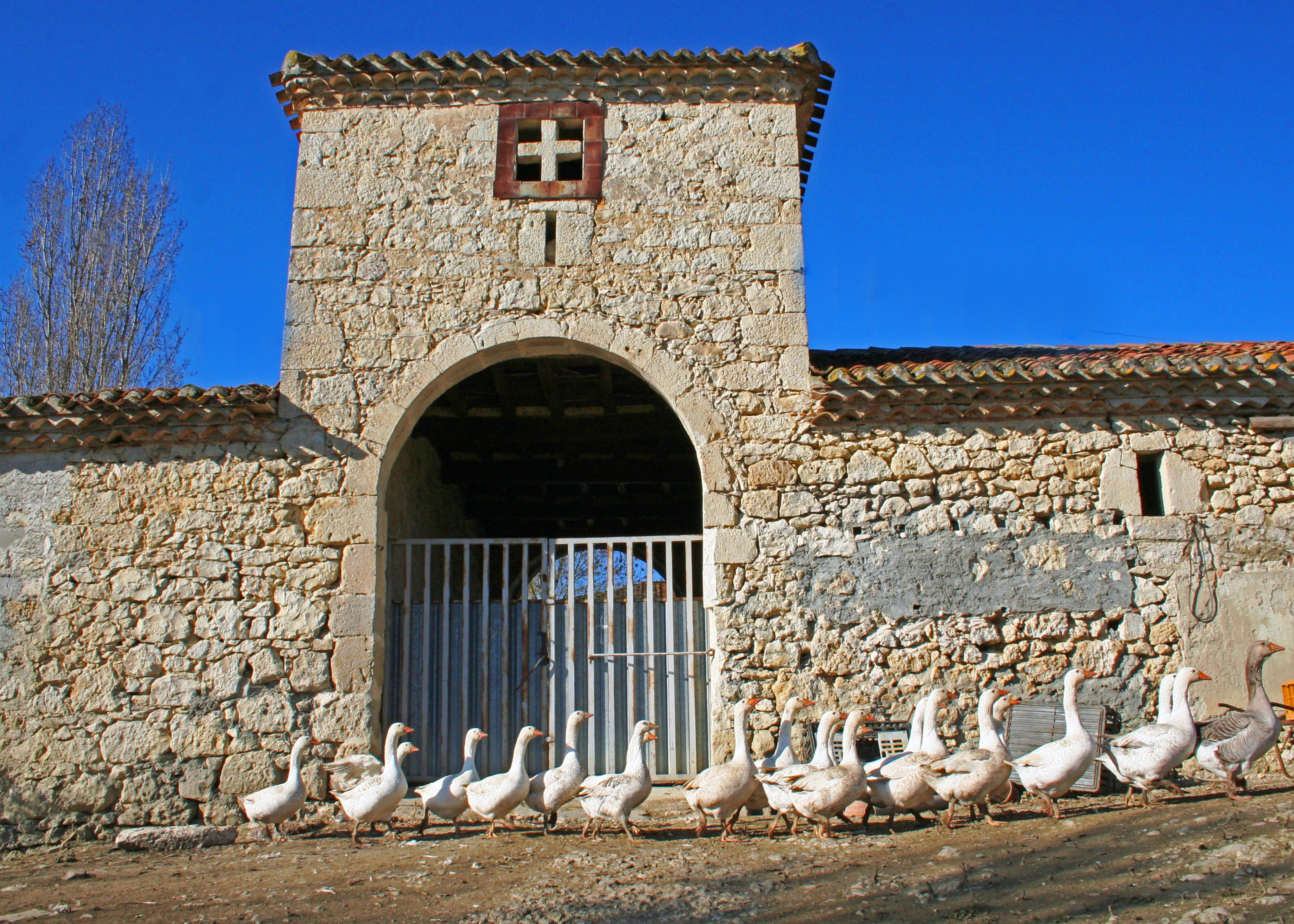© Gilles Nicoud-Parimoine StCréac-IMG_04