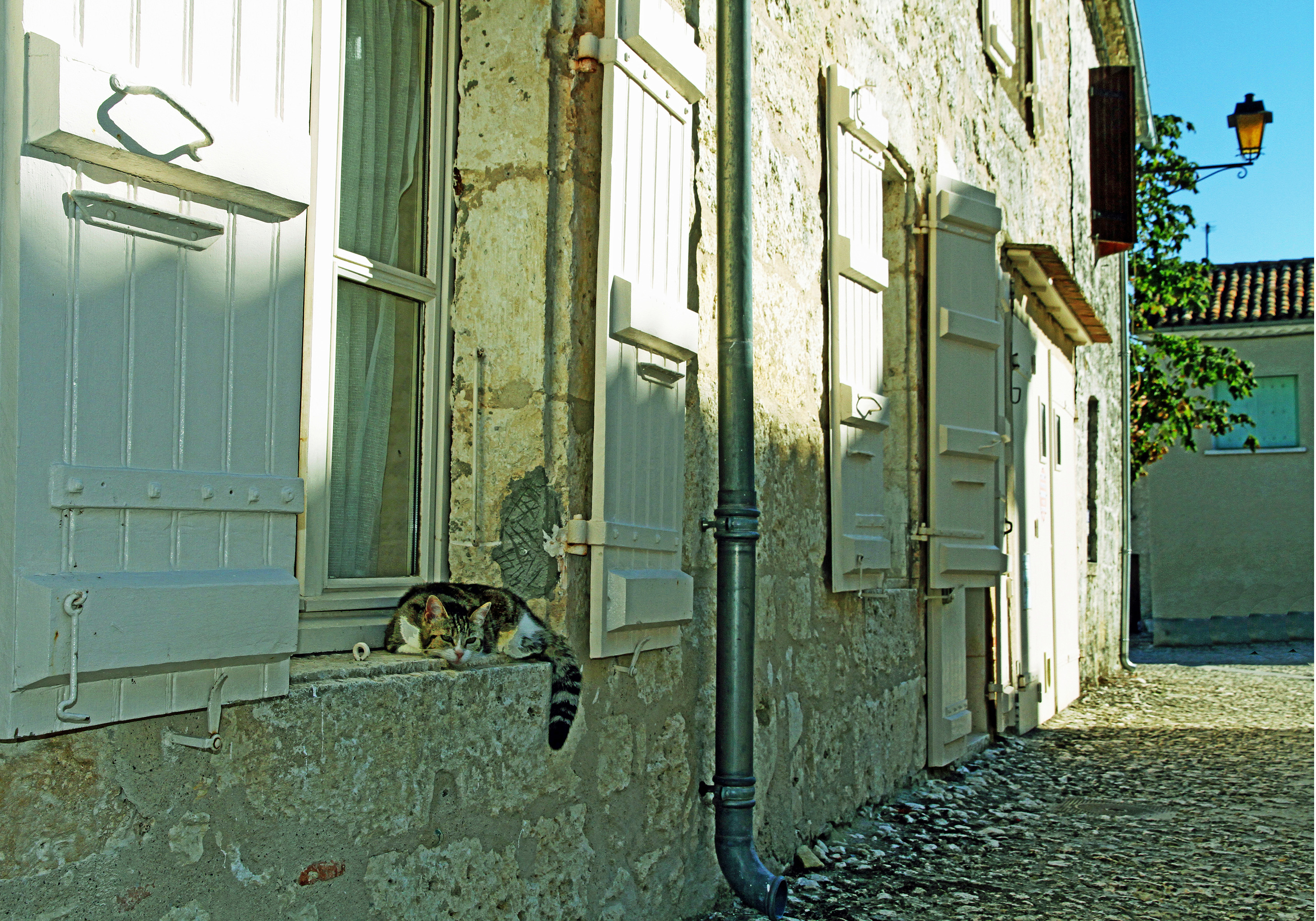 Galerie_photos_Saint-Clar_Lumières_de_Lo