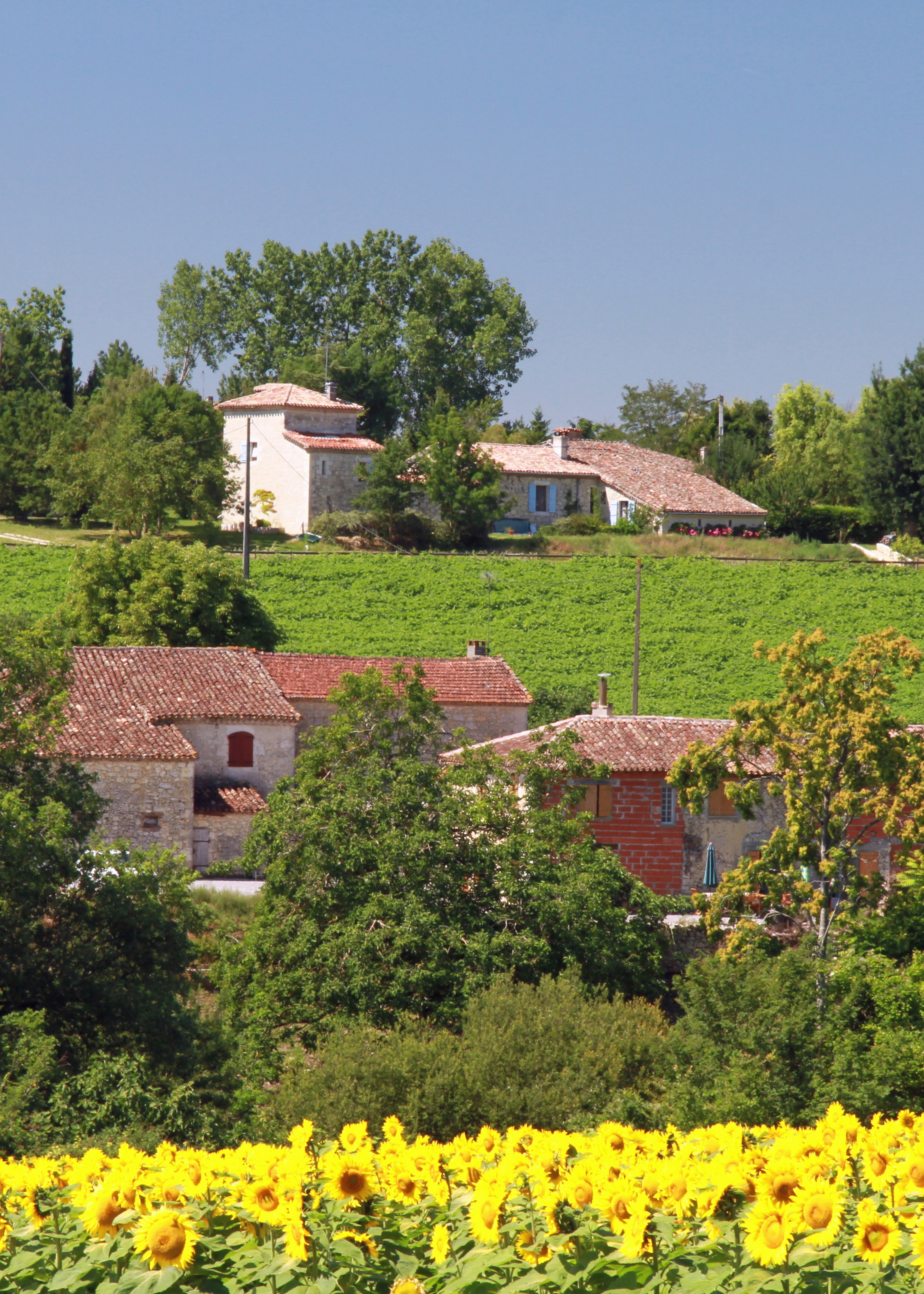 © Gilles Nicoud-Parimoine StCréac-IMG_29