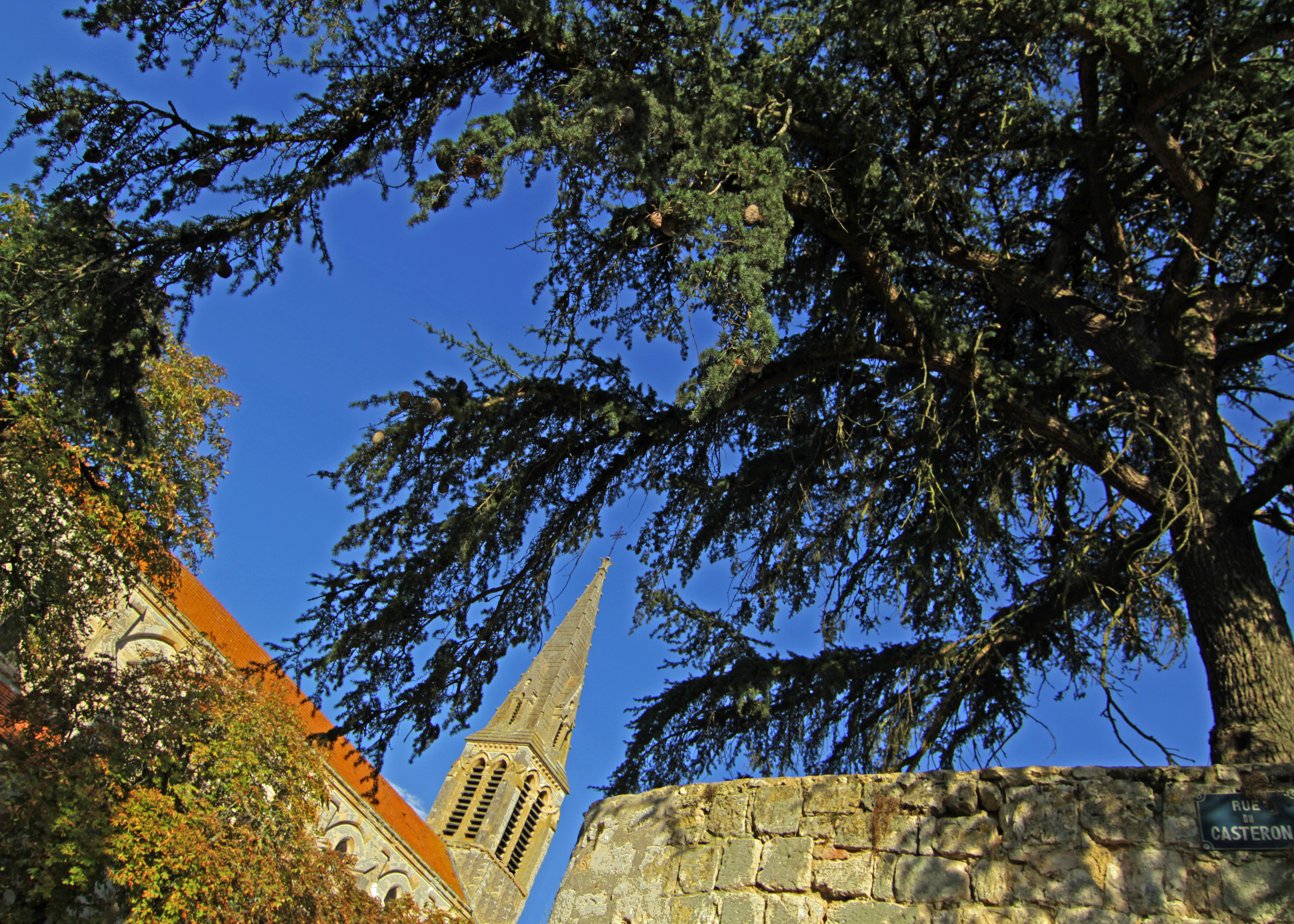 IMG_1584-retouché-phtsp2-50x70cm-300dpi-