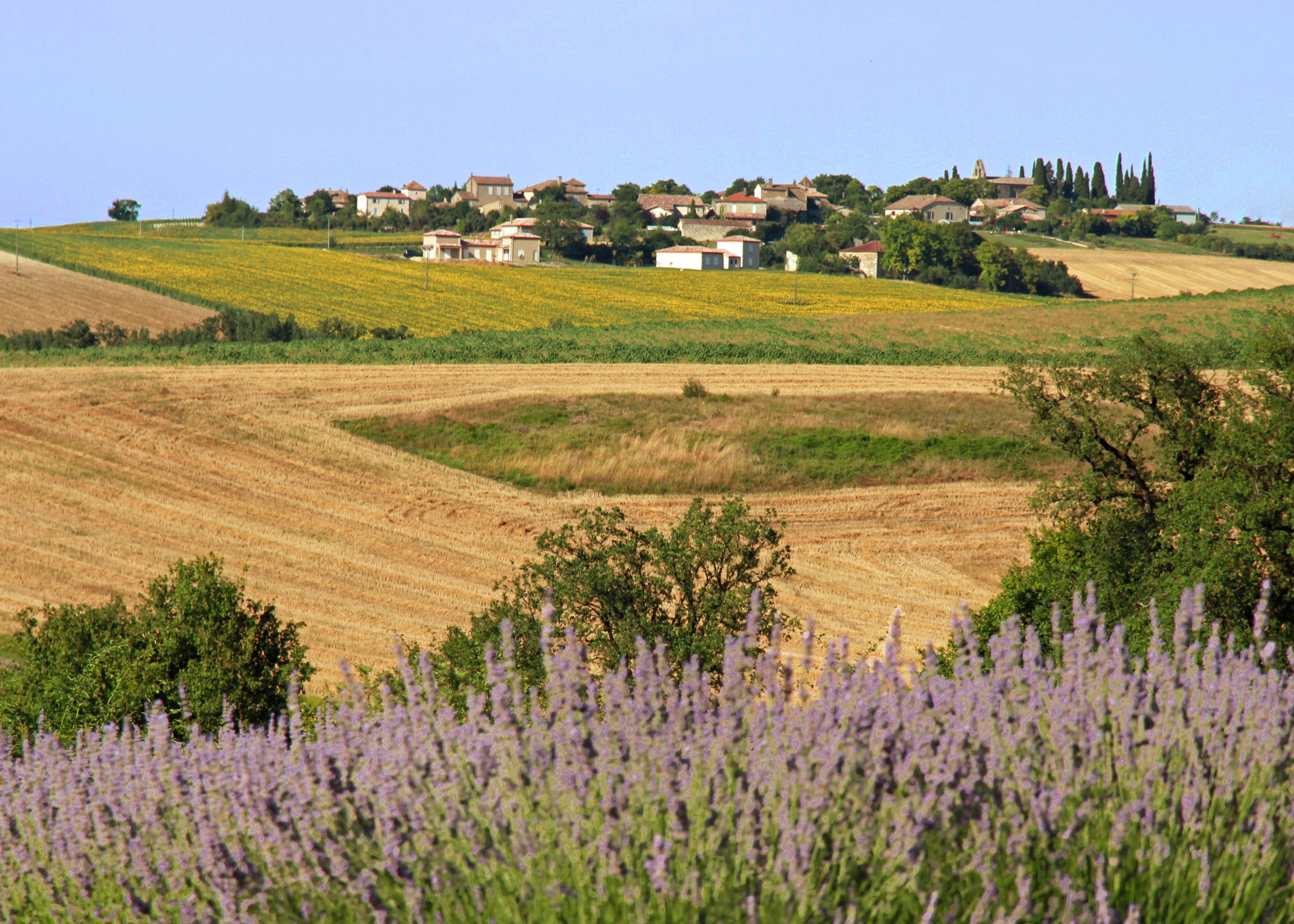 © Gilles Nicoud-Parimoine StCréac-IMG_28