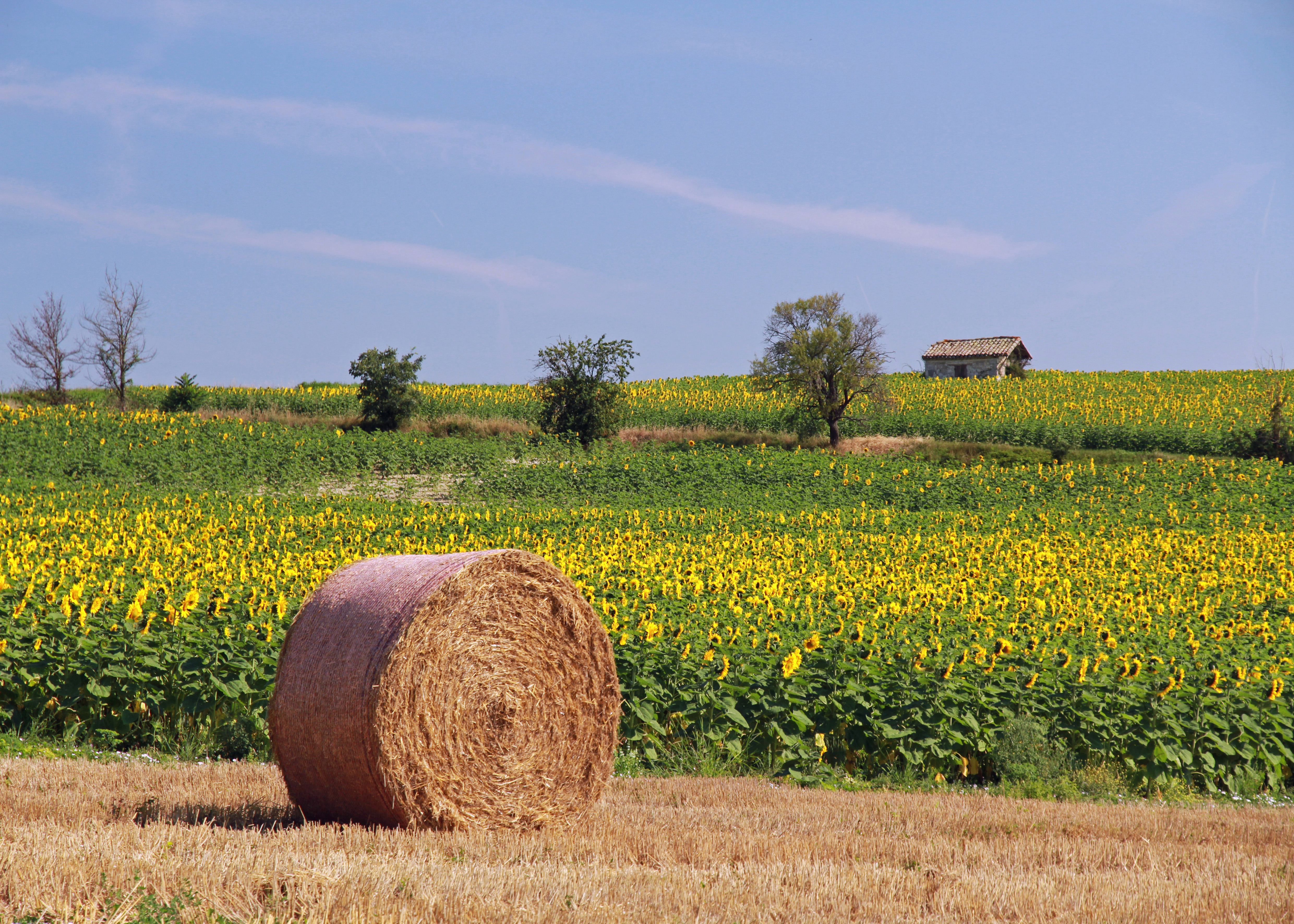 © Gilles Nicoud-Parimoine StCréac-IMG_29