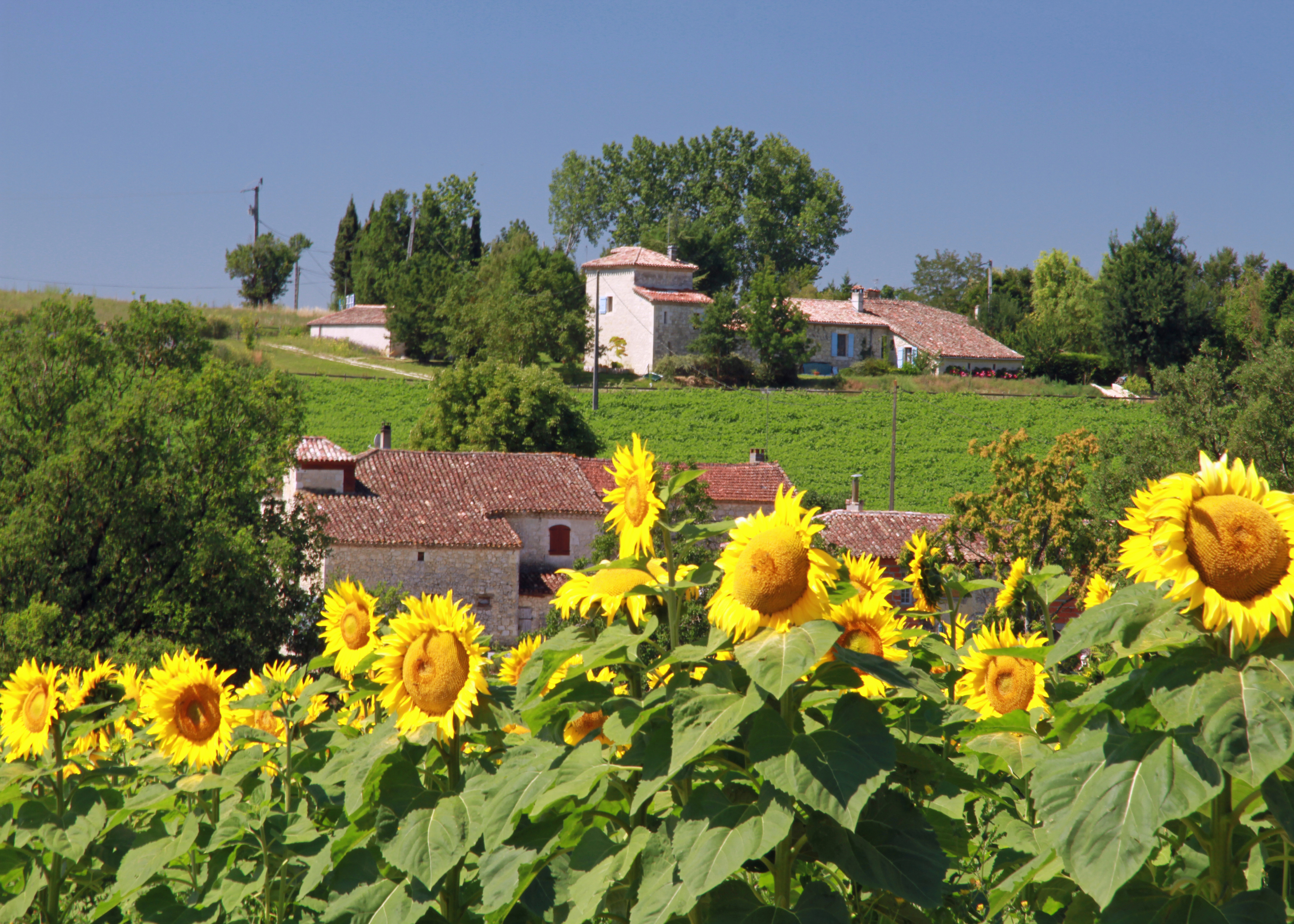 © Gilles Nicoud-Parimoine StCréac-IMG_29