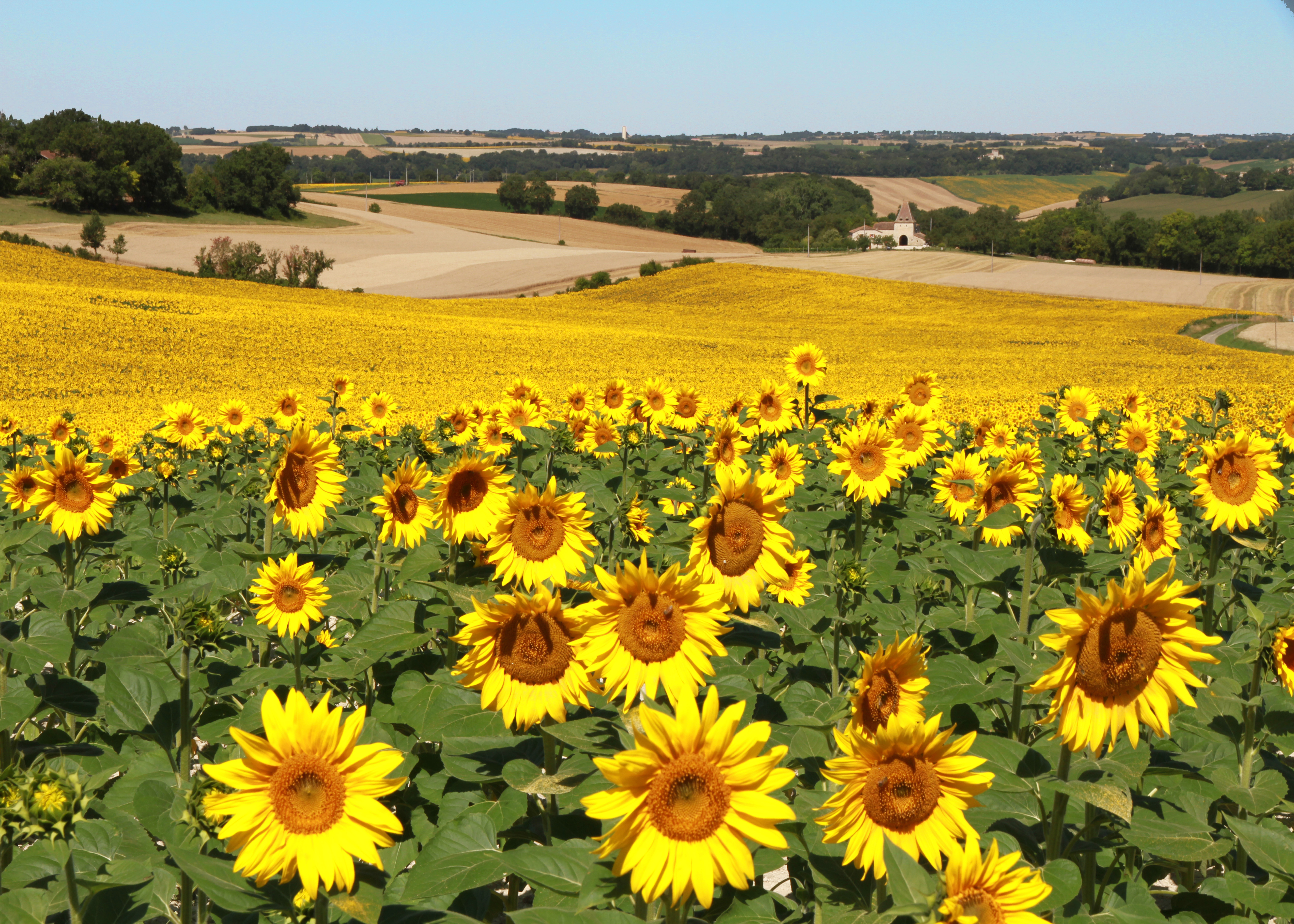 © Gilles Nicoud-Parimoine StCréac-IMG_29