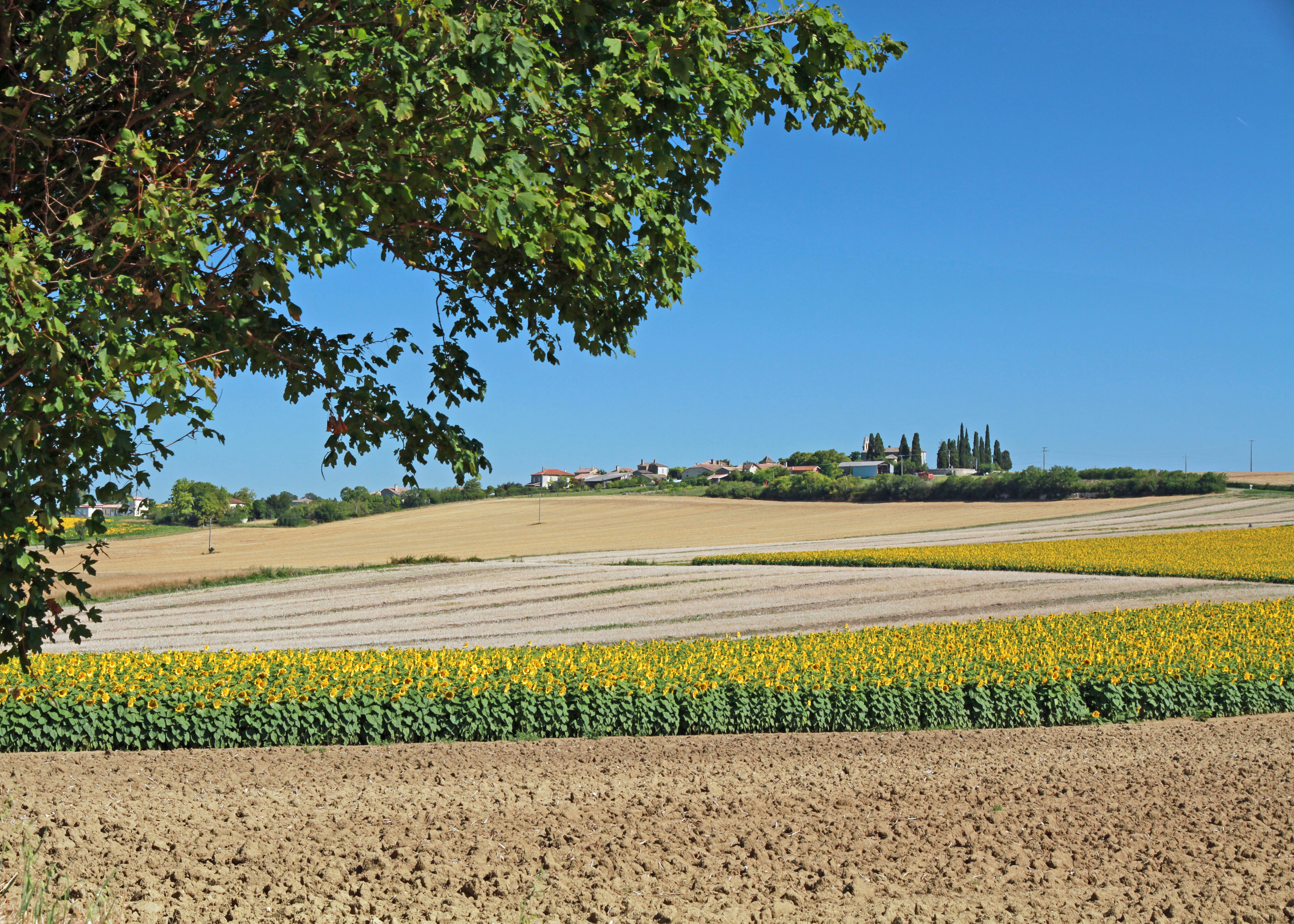 © Gilles Nicoud-Parimoine StCréac-IMG_28
