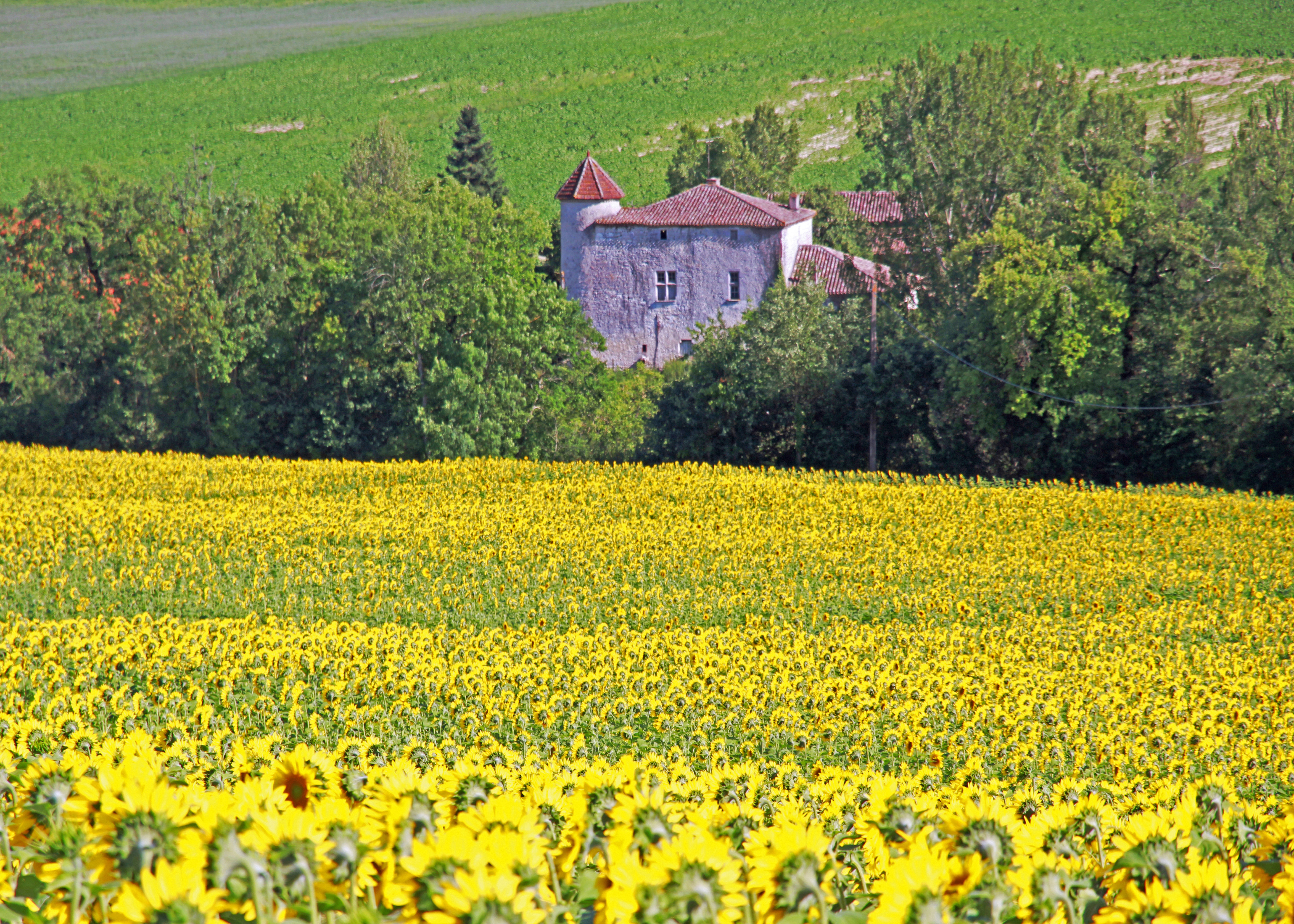 © Gilles Nicoud-Parimoine StCréac-IMG_27