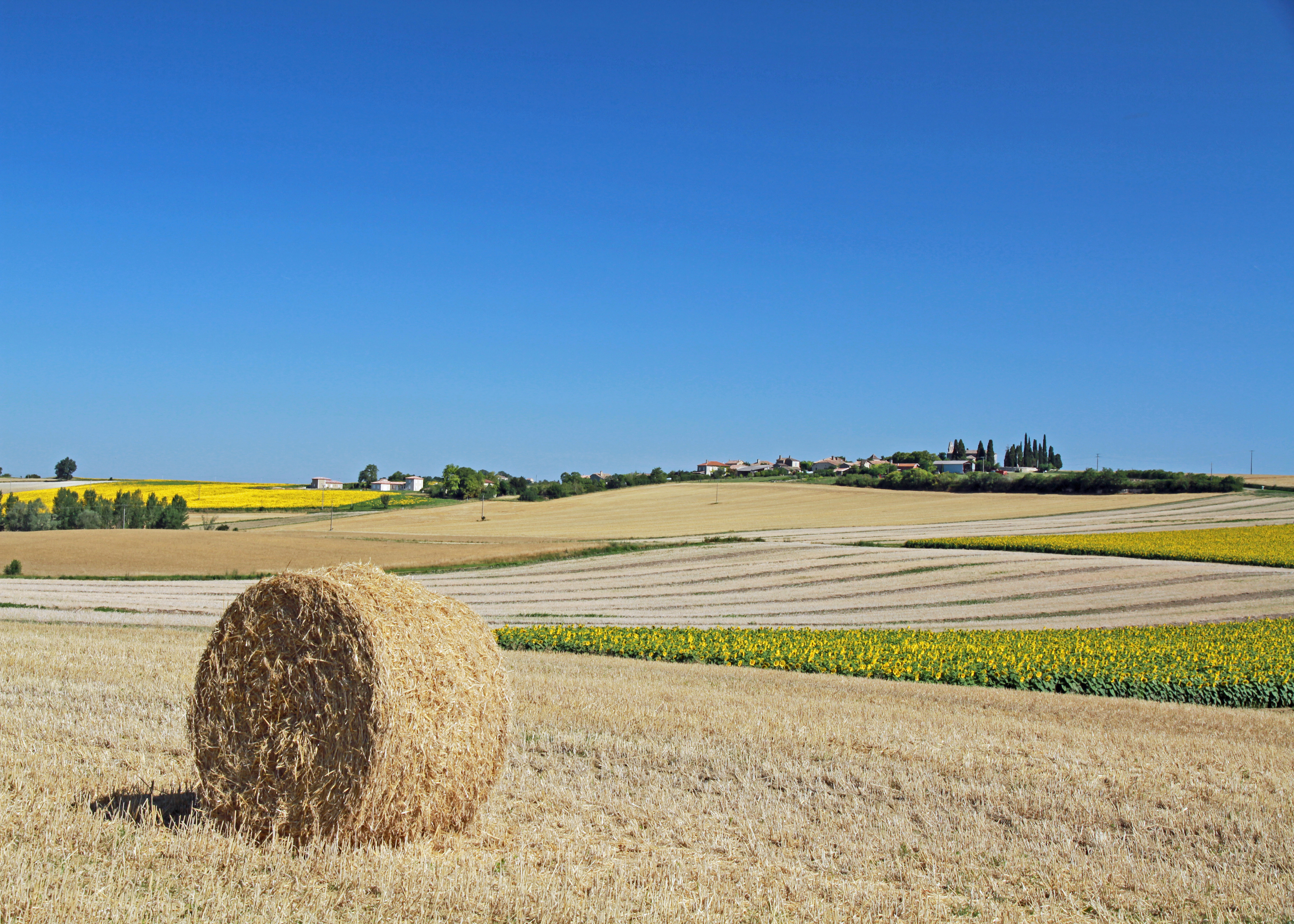 © Gilles Nicoud-Parimoine StCréac-IMG_28