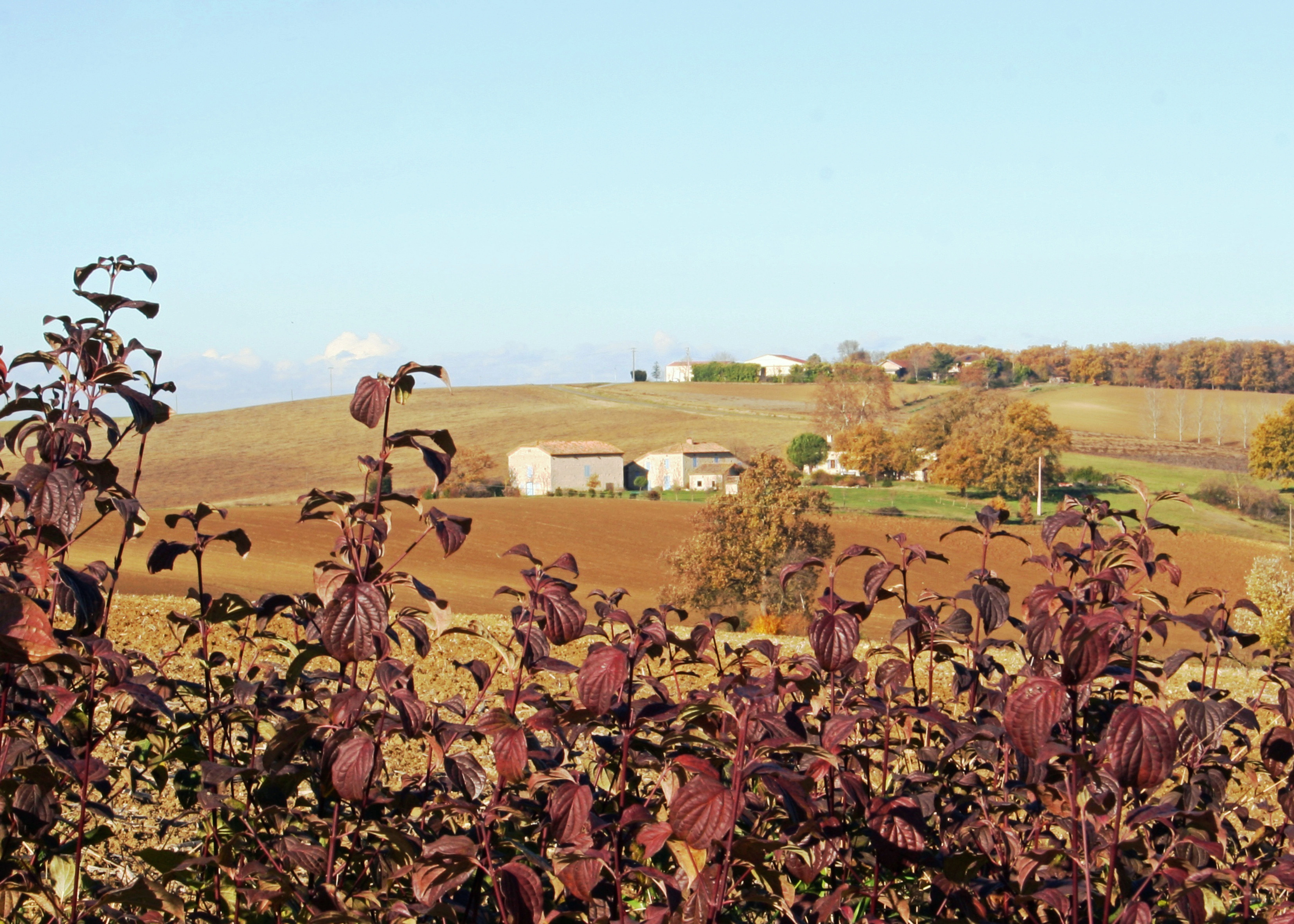 © Gilles Nicoud-Parimoine StCréac-IMG_00