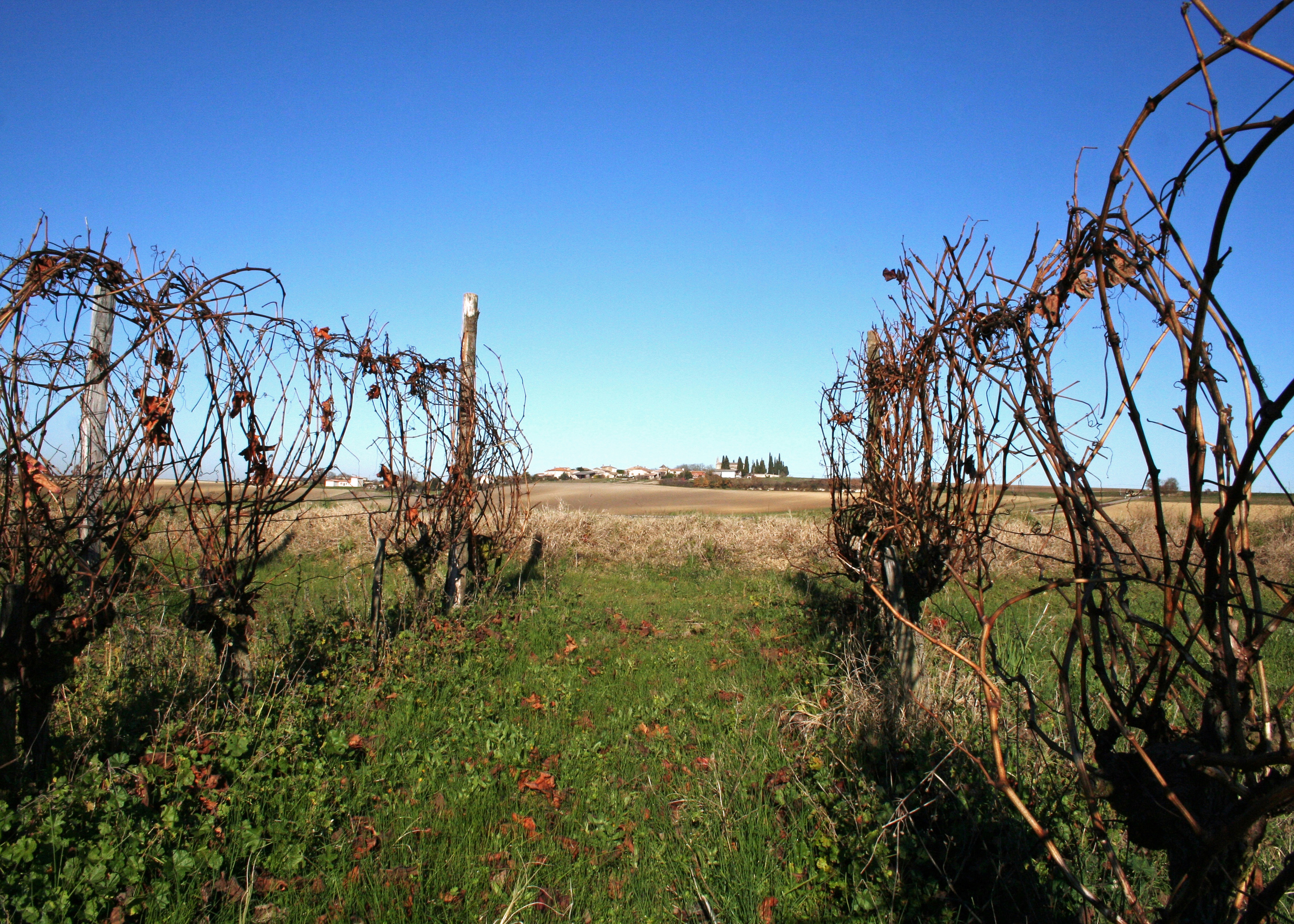© Gilles Nicoud-Parimoine StCréac-IMG_02