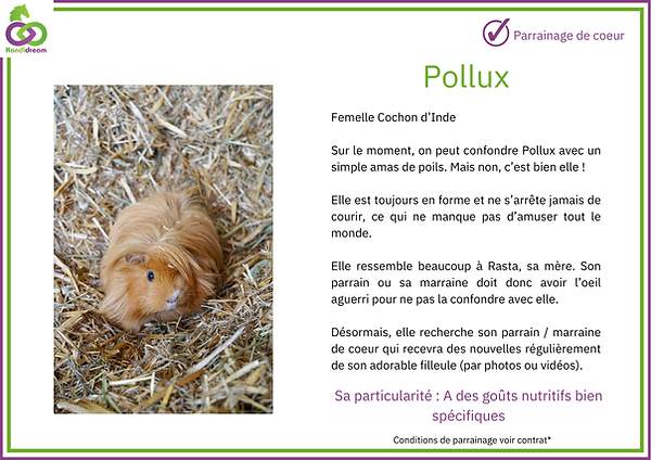 Fiches de parrainage Popollux.png