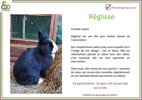 Fiches de parrainage Réglisse.png