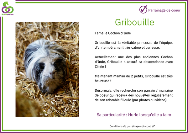 Fiches de parrainage Gricouille.png