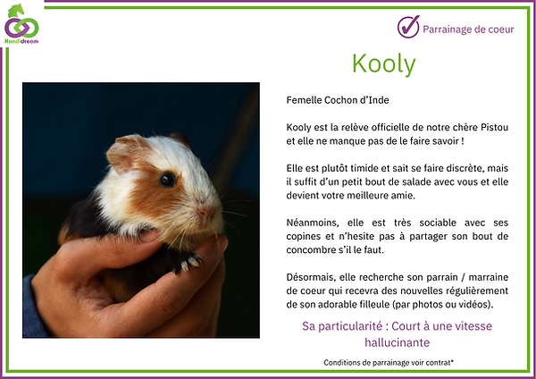 Fiches de parrainage Koolyèvre.png